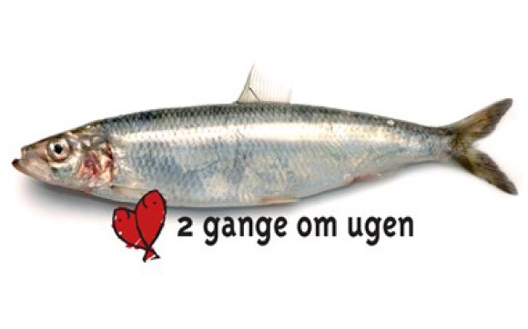 Fisk 2 gange om ugen